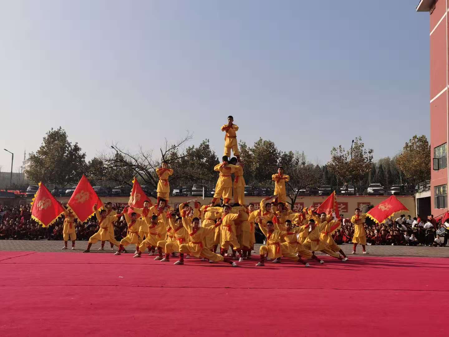 taolu2.jpg